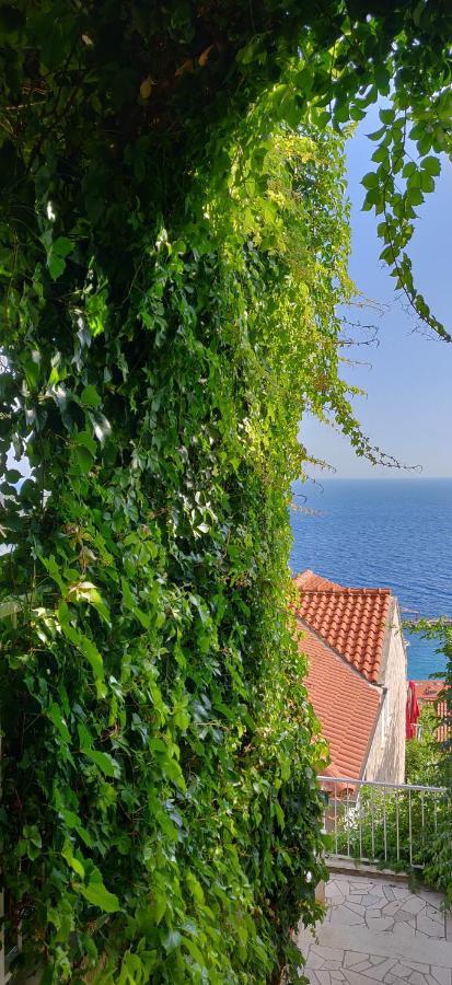 Apartment Ante Dubrovnik